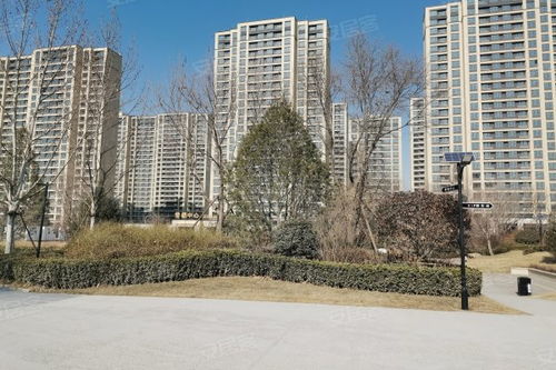 中新國際城綜合評測 優(yōu)點(diǎn)、不足、周邊中介及物業(yè)管理分析